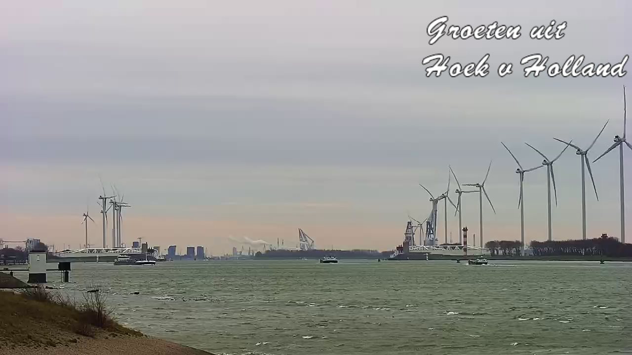 Geen foto? Even de pagina verversen door op F5 te drukken